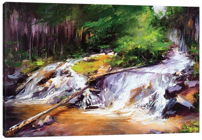 The Waterfall In Glen Feshie In The Cairngorms, Scotland Canvas Art Print - Bozhena Fuchs