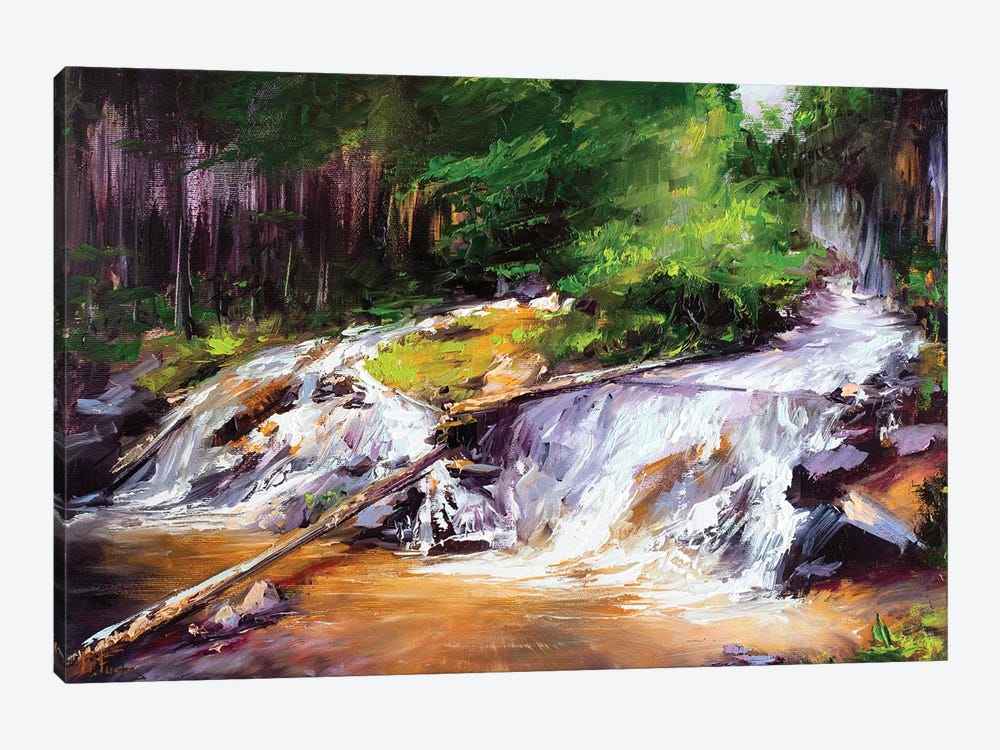 The Waterfall In Glen Feshie In The Cairngorms, Scotland by Bozhena Fuchs 1-piece Canvas Artwork