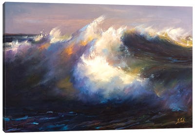 Storm Canvas Art Print - Bozhena Fuchs