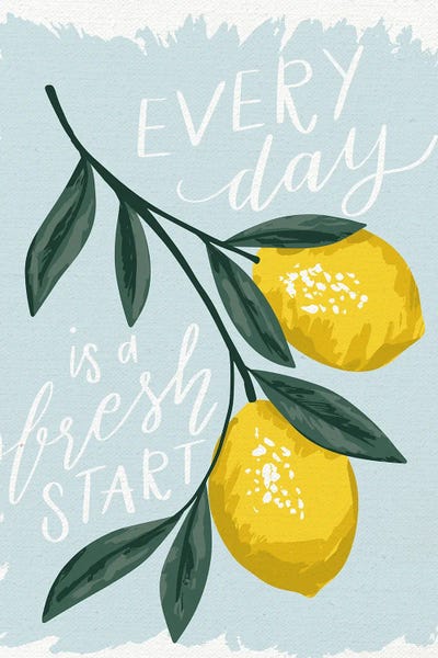 Pink Light Studio: A Fresh Start by Caroline Alfreds