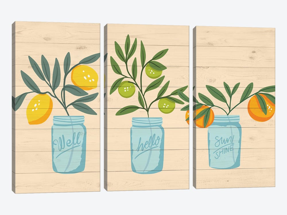 Fruity Mason Jars by Caroline Alfreds 3-piece Canvas Print