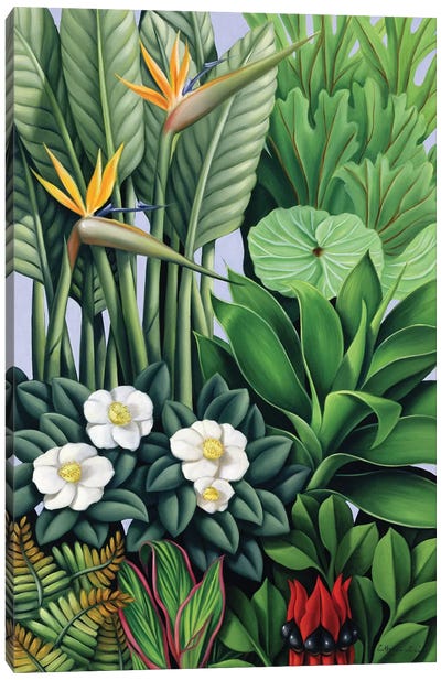 Foliage II Canvas Art Print - Tropical Leaf Art