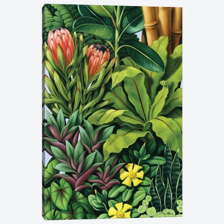 Foliage III Canvas Print #CAB14} by Catherine Abel Canvas Artwork