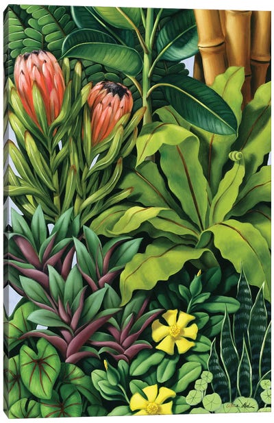 Foliage III Canvas Art Print - Green Art