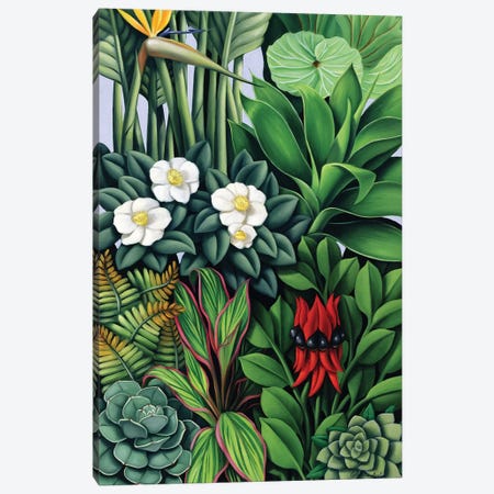 Foliage II  Canvas Print #CAB36} by Catherine Abel Canvas Wall Art