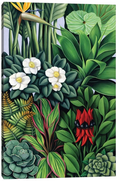 Foliage II  Canvas Art Print - Catherine Abel