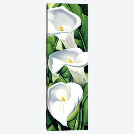 Lilies  Canvas Print #CAB40} by Catherine Abel Canvas Wall Art