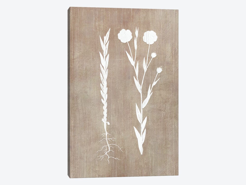 Botany Beauty III by CAD Designs 1-piece Canvas Artwork