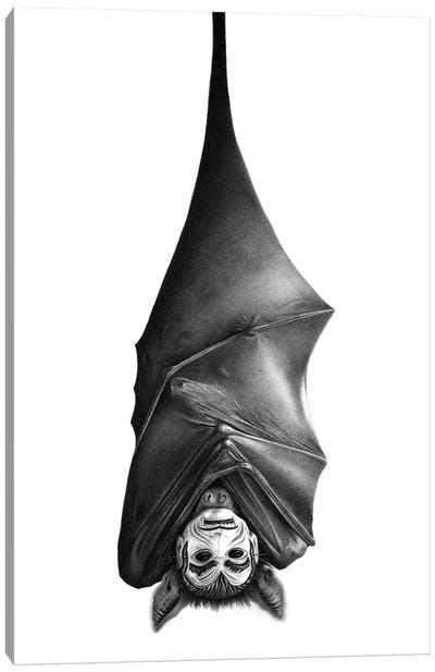 Bat Canvas Art Print - Carlos Fernandez