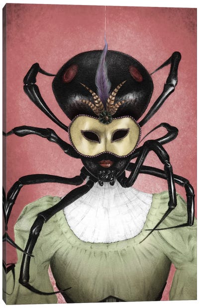 Black Widow Canvas Art Print - Carlos Fernandez