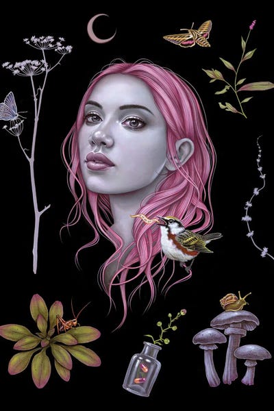 Nature Renewal: Botanic Planet by Caia Koopman