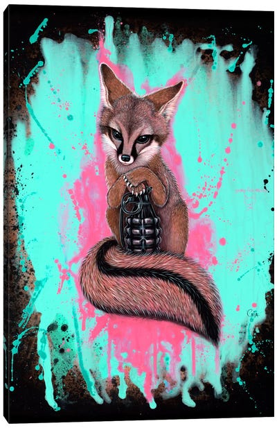 Gray Fox Army Canvas Art Print - Caia Koopman