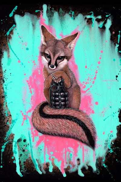 Foxes: Gray Fox Army by Caia Koopman