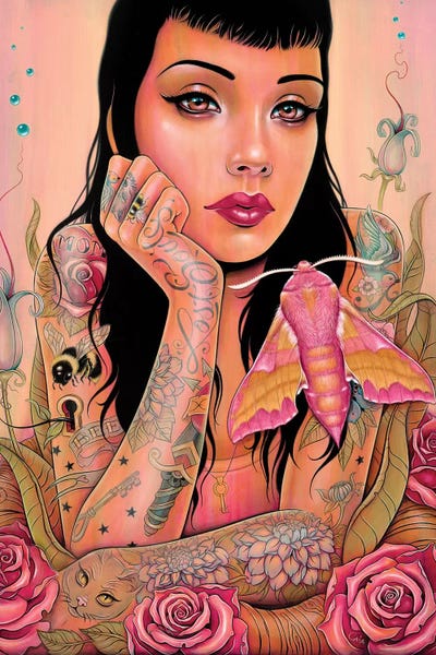 Wildlife Conservation: Sphingidae by Caia Koopman