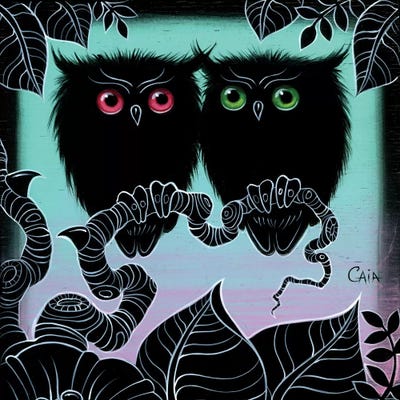 Mini 2 Hoots by Caia Koopman framed canvas print