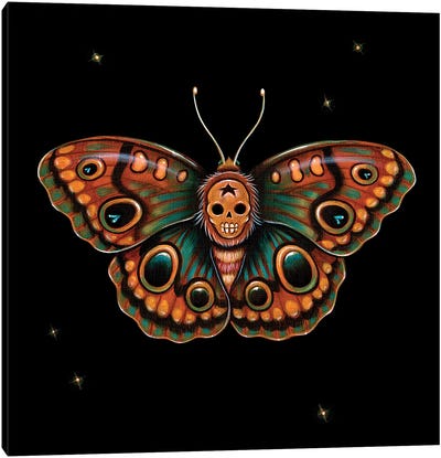 Calavera Lepidoptera Canvas Art Print