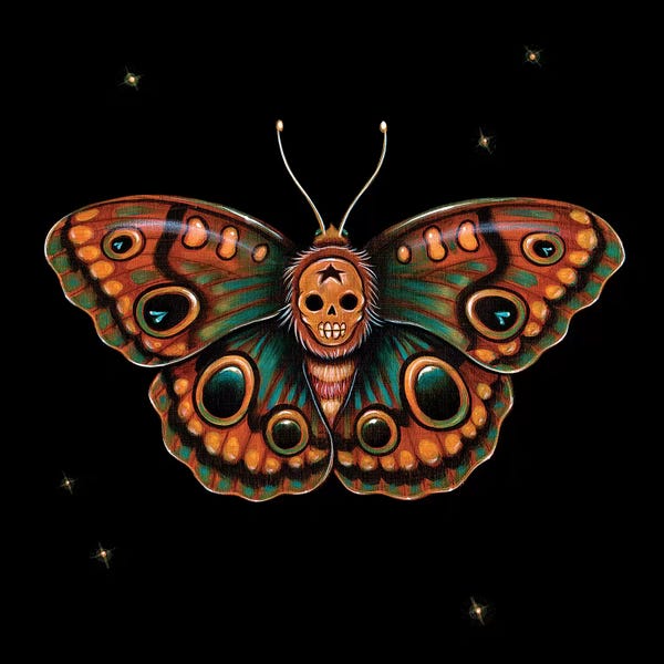 Moths: Calavera Lepidoptera by Caia Koopman
