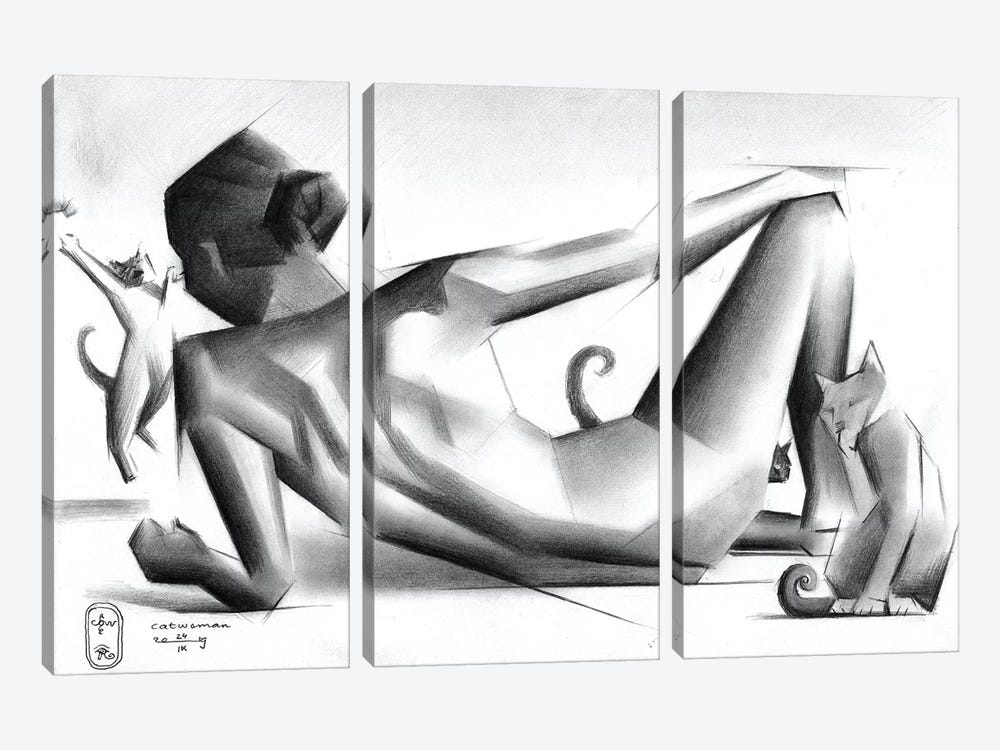 Catwoman by Corné Akkers 3-piece Canvas Art
