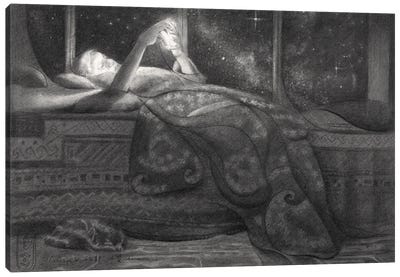 Starry Night Canvas Art Print - Corné Akkers