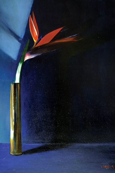 Corné Akkers: Strelitzia by Corné Akkers