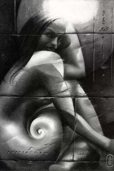 Initiatrix by Corné Akkers acrylic art print