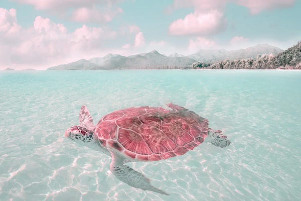 Mike Calascibetta: Sun Bathing by Mike Calascibetta