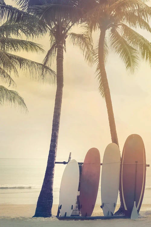 Surfing Summer