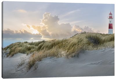 The Guardian Canvas Art Print - Coastal Sand Dune Art