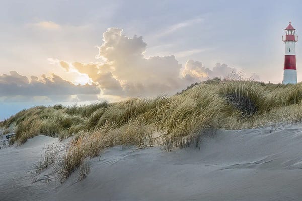 Mike Calascibetta: The Guardian by Mike Calascibetta