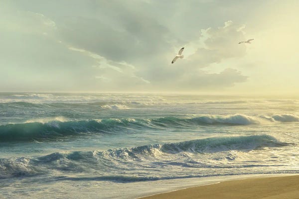 Mike Calascibetta: Way Home by Mike Calascibetta