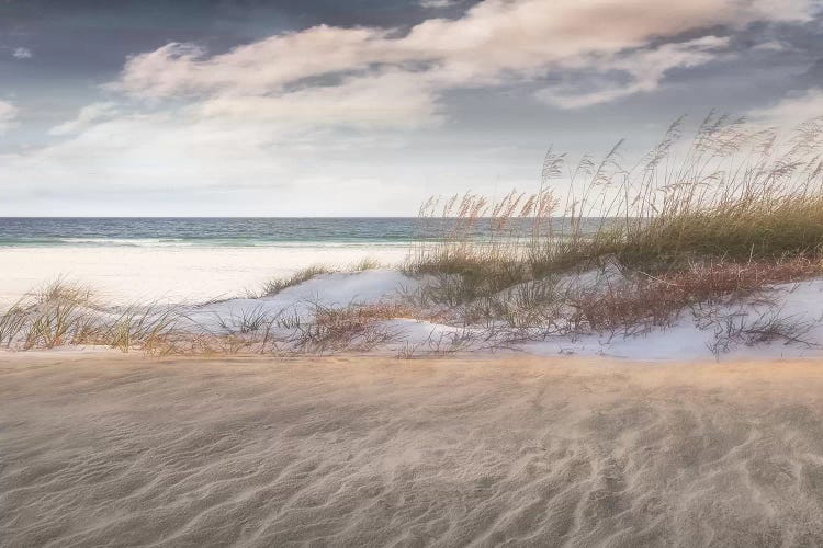 Amongst The Sea Grass