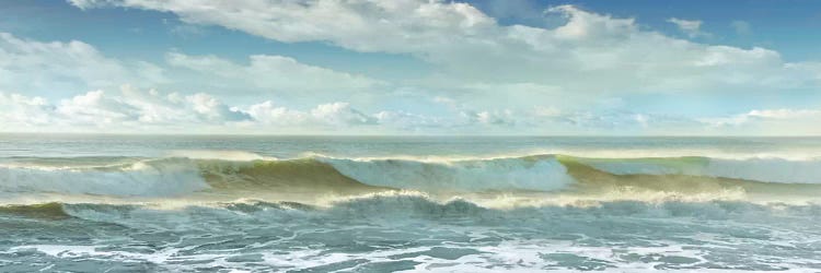 Surf is Up by Mike Calascibetta wall art