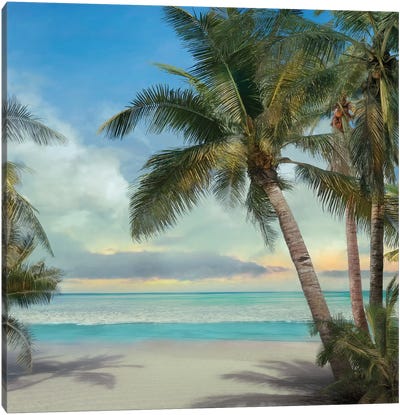 A Found Paradise II Canvas Art Print - Tropical Beach Art