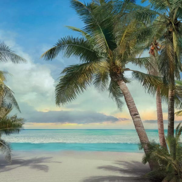 Mike Calascibetta: A Found Paradise II by Mike Calascibetta