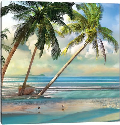 A Found Paradise III Canvas Art Print - Palm Tree Art