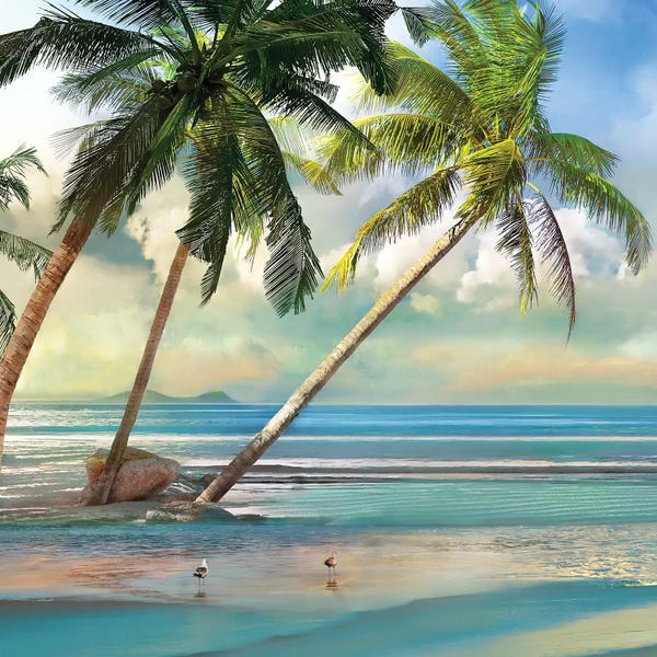 Mike Calascibetta: A Found Paradise III by Mike Calascibetta