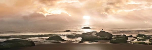 Mike Calascibetta: Best Seat in the House by Mike Calascibetta