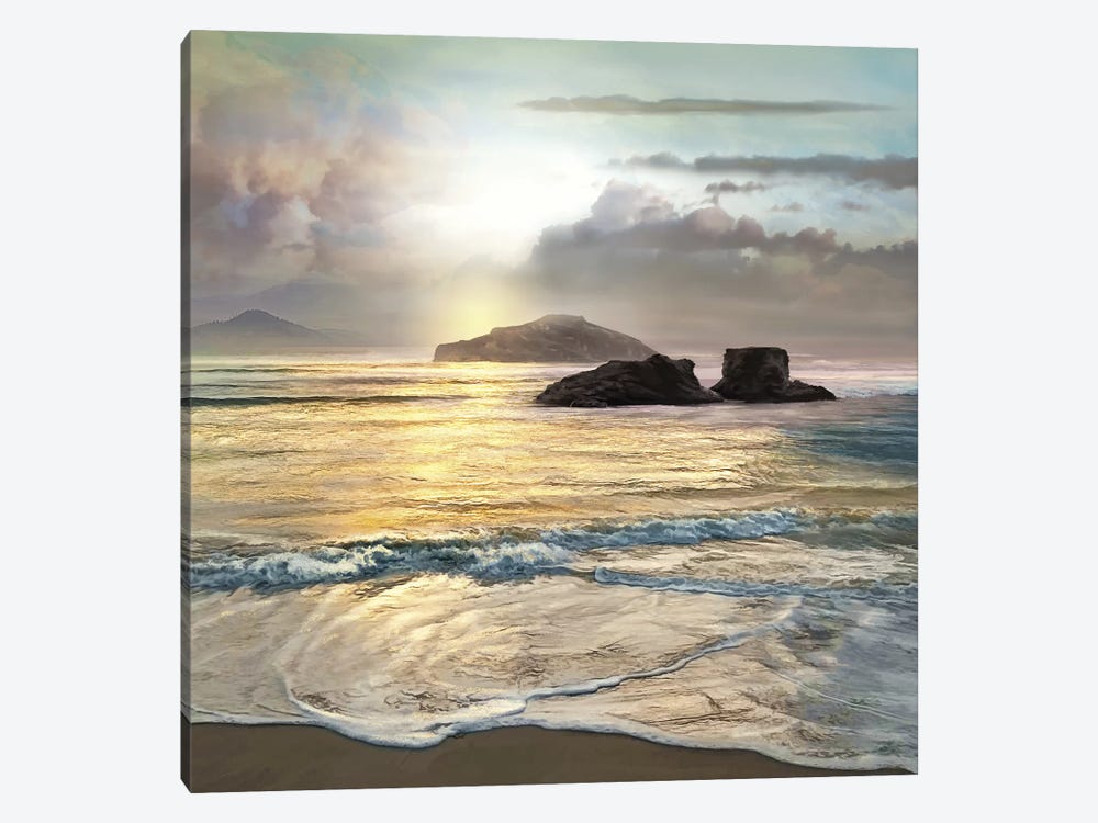 Passing 1-piece Canvas Wall Art