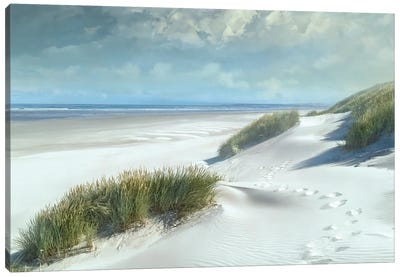 White Sands Canvas Art Print