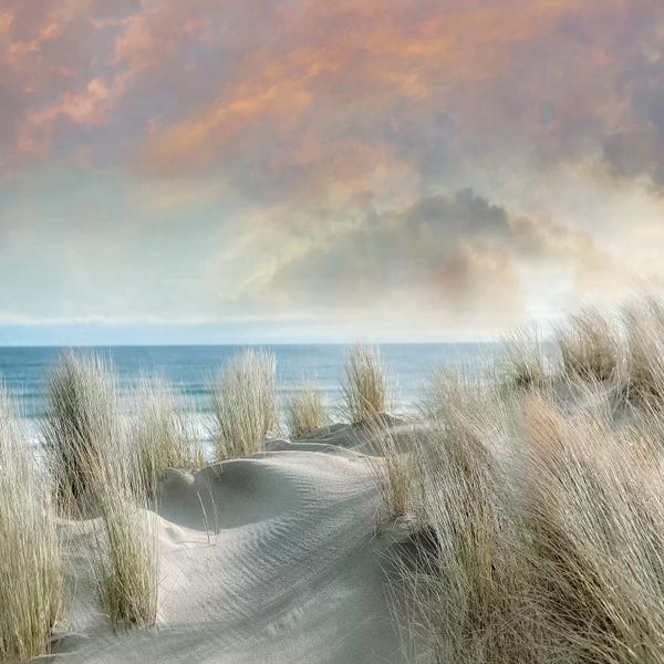 Mike Calascibetta: Windswept I by Mike Calascibetta