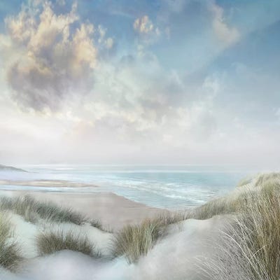 Windswept III by Mike Calascibetta framed canvas print