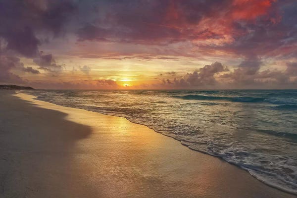 Mike Calascibetta: Harmony by Mike Calascibetta