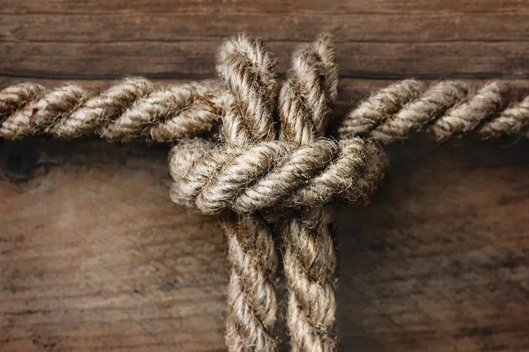 Rope Knot II by Mike Calascibetta wall art