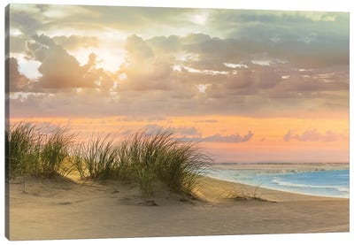 Seagrass and Twilight Canvas Art Print - Large Coastal Art