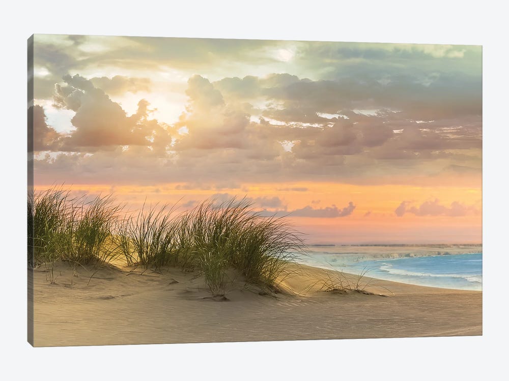 Seagrass and Twilight by Mike Calascibetta 1-piece Canvas Wall Art