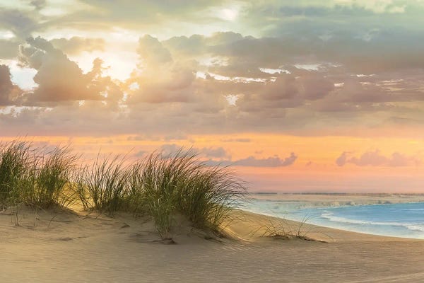Large Photography - Canvas Prints: Seagrass and Twilight by Mike Calascibetta