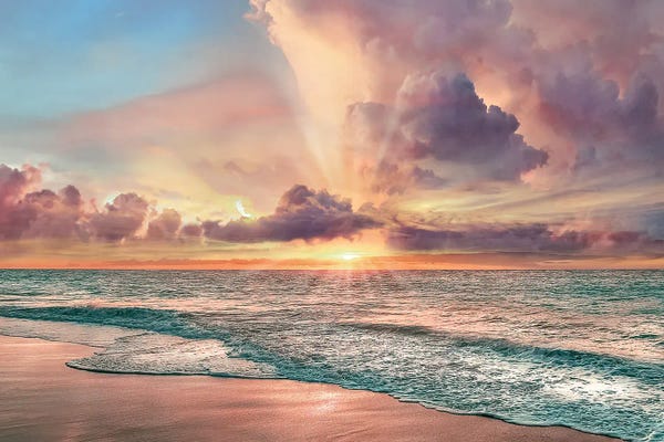 Mike Calascibetta: Copper Beach by Mike Calascibetta