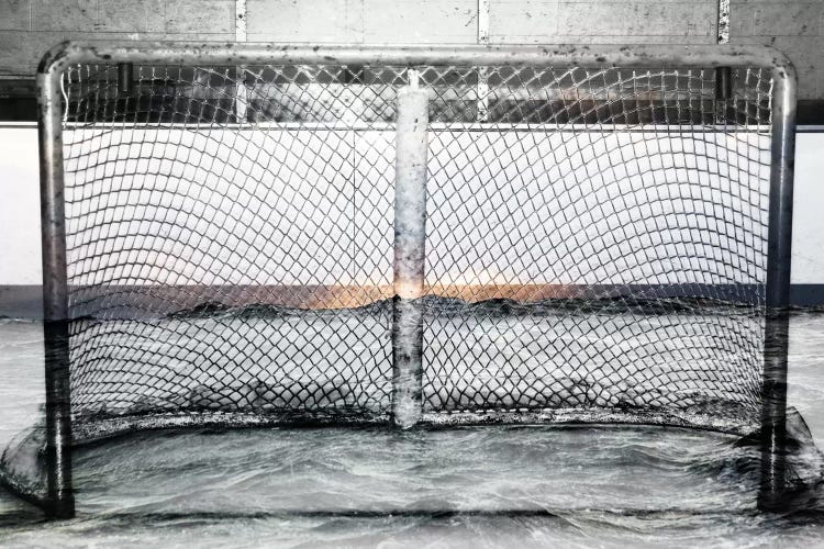 Hockey Goal Gate #2 by Unknown Artist wall art