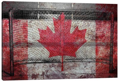 Hockey Goal Gate #3 Canvas Art Print - International Flag Art