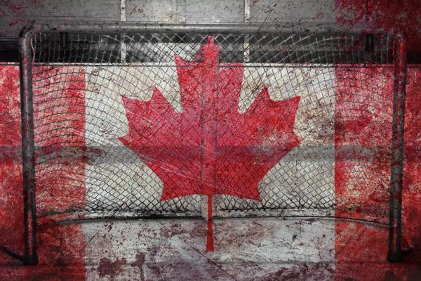 Canada: Hockey Goal Gate #3 by Unknown Artist